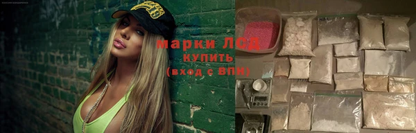 стаф Баксан