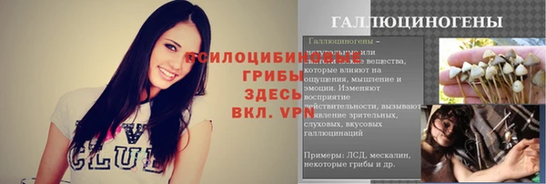 стаф Баксан