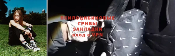 стаф Баксан