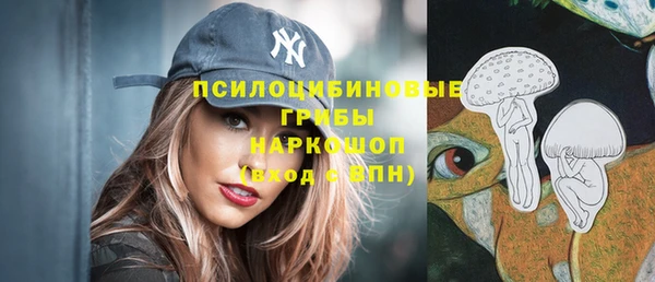 стафф Магадан